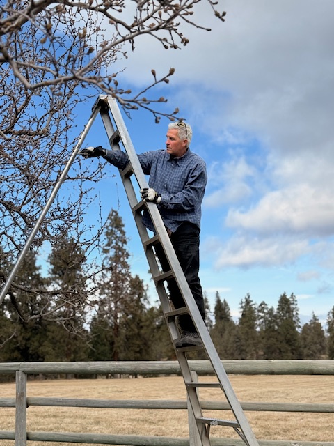 Precision pruning work