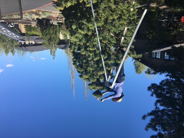 Healthy structural branch development